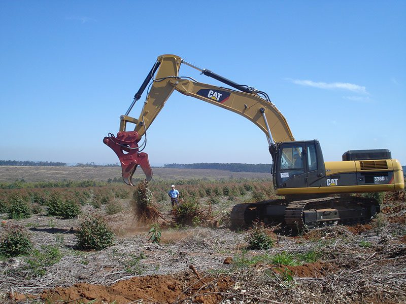 Limpeza de áreas e destocamento de terrenos